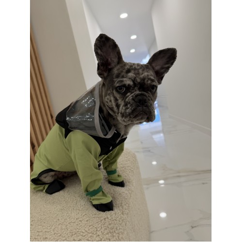 Брендовый дождевик для собак с капюшоном водонепроницаемый The North Face, зеленый комбинезон для прогулок в дождь