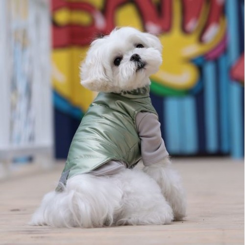 Зимняя жилетка для собак Cheepet водоотталкивающий материал, без капюшона, зеленая