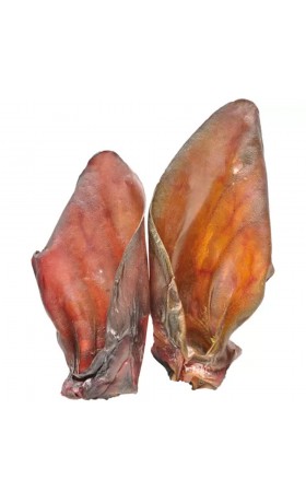 Metal Cut-Off Disc for X-Lock Tolls