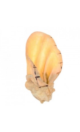 Metal Cut-Off Disc for X-Lock Tolls