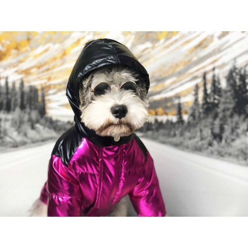 Брендовая зимняя куртка для собак MONCLER на пуху с капюшоном, малиновая