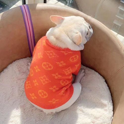 Брендовый свитер для собак DIOR с мелкими логотипами, оранжевый
