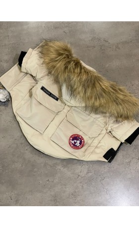 Metal Cut-Off Disc for X-Lock Tolls