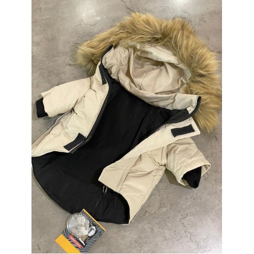 Брендовая зимняя куртка для собак CANADA GOOSE с капюшоном, на пуху , бежевая