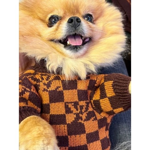 Брендовый свитер для собак LV в мелкие квадратики с  буквами LV , коричневый