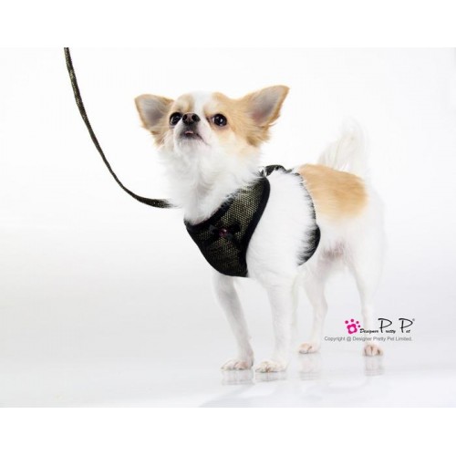 Шлея для собак Pretty Pet тканинна, нейлонові ремінці, з повідцем Bling-bling, золотий