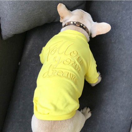 Толстовка Family Look для собак и владельцев с надписью Follow Your Dream без капюшона желтого цвета