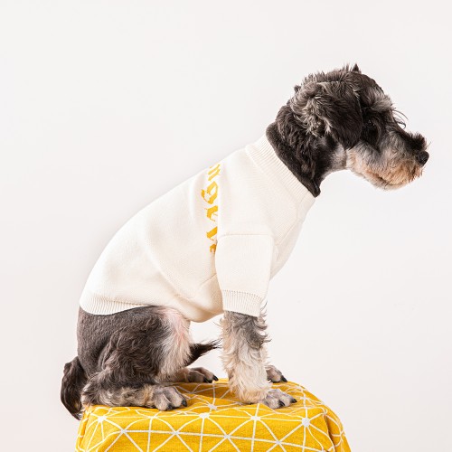 Брендовый свитер для собак PALM ANGELS с золотой надписью, белаый