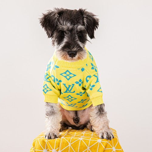 Брендовый свитер для собак Louis Vuitton с голубыми логотипами бренда, желтый