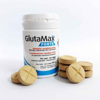 Candioli (Кандіолі) GlutaMax Forte для підтримки функцій печінки для собак 20таб