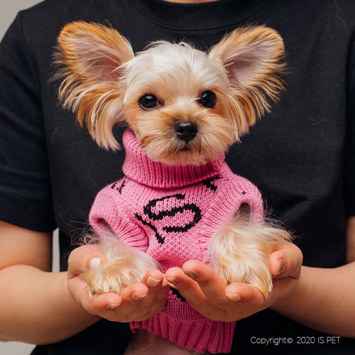 Свитер для собак Is Pet FAMILY LOOK без рукавов с надписями FOR YOU, розовый