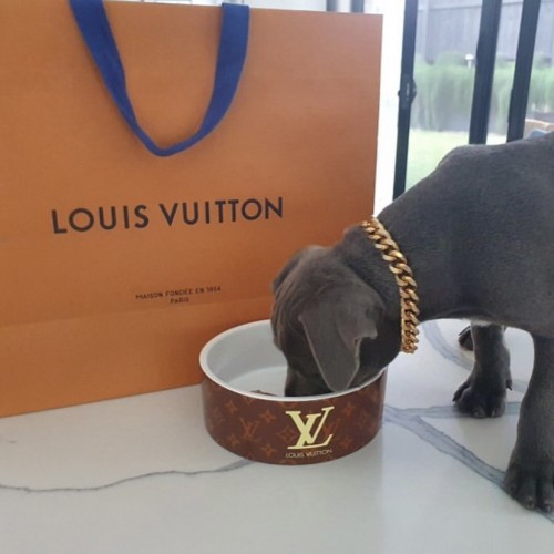 Брендова керамічна миска для тварин собак та котів одинарна Louis Vuitton, коричнева