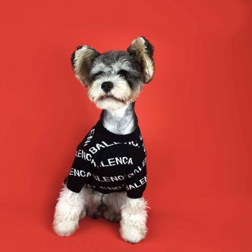 Брендовый свитер для собак Balenciaga двухслойная вязка, с надписями по бокам, черный