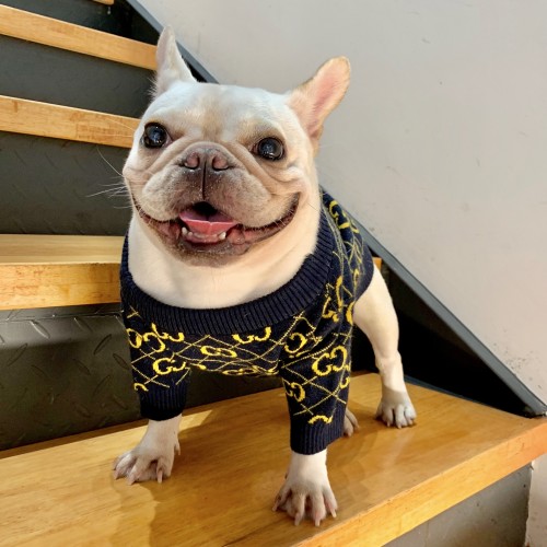 Брендовый свитер для собак GUCCI с золотыми значками бренда, синий