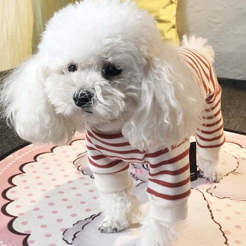 Вязанный костюм для собак Cheepet в красную полоску, удлиненный ворот,  бежевый