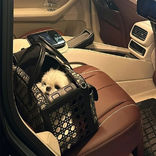 Брендовая сумка-переноска для собак и кошек Christian Dior квадратная с двумя видами ручек, сеточкой, черная