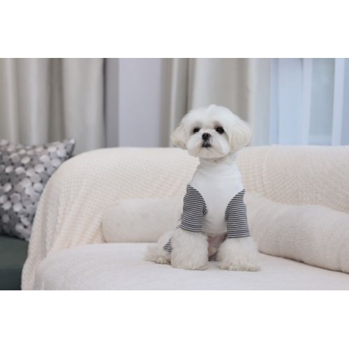 Трикотажний костюм для собак Cheepet в смужку, білий