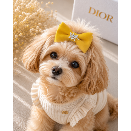 Желтая заколка-бант Dior для собак | Яркий аксессуар для груминга и фотосессий | Украшение для длинной шерсти