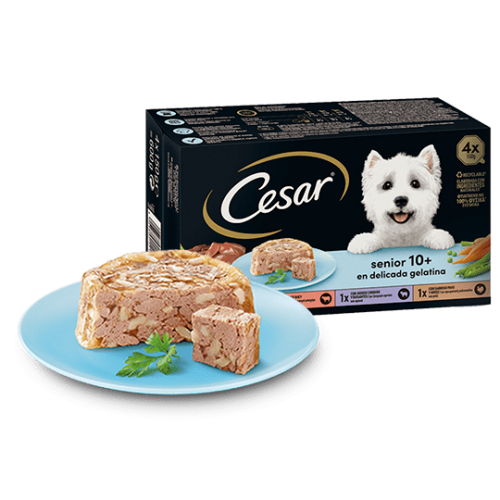 Консервы для собак CESAR Паштет "Senior 10+ для старых собак в желе" вкусная индейка с рисом 150г