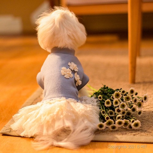 Платье для собак Is Pet "Цветы" голубое