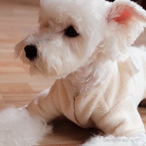 Флисовый комбинезон для собак Is Pet с мишкой на спине,  бежевого цвета