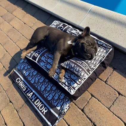 Лежанка матрас для собак и кошек Christian Dior черная — мягкий шелковый коврик премиум со сьемным чехлом
