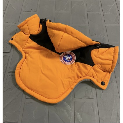 Зимняя куртка для собак с капюшоном, черная вставка на спинке, оранжевая