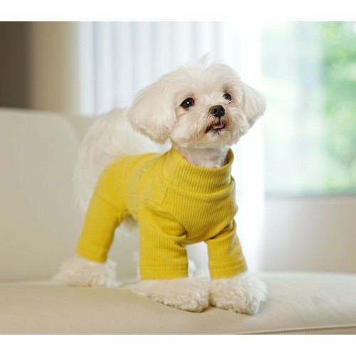 Трикотажный костюм для собак Cheepet Infinite love c сердечками на спинке, без резинок вокруг лапок, желтый