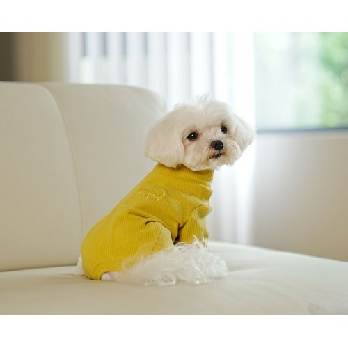 Трикотажный костюм для собак Cheepet Infinite love c сердечками на спинке, без резинок вокруг лапок, желтый