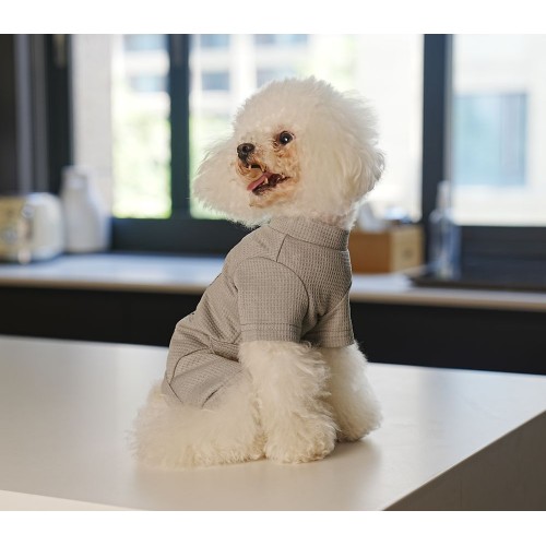 Вафельный костюм для собак Cheepet коллекция "Любимый Завтрак" Яичница на спинке, без резинок вокруг лап, серый