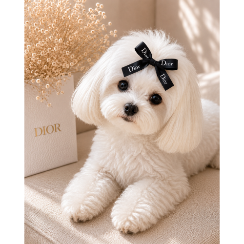 Заколка-бант Dior для собак черная | Элегантный аксессуар для груминга и фотосессий | Декоративный бант для длинной шерсти