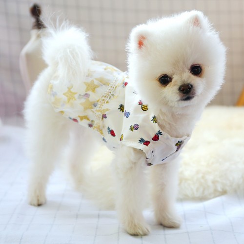 Платье для собак PetCircle "Звездочки" белый