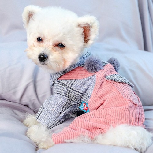 Вельветовый костюм для собак PetCircle с Бубончиками, розовый