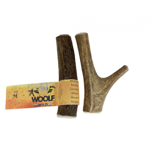 Оленьи рога дикого оленя для собак Woolf wild
