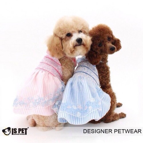 Платье для собак Is Pet "Флора" голубой