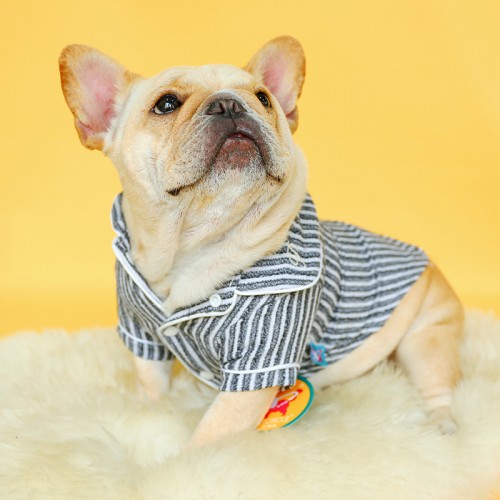 Рубашка для собак PetCircle "LUX P" серый