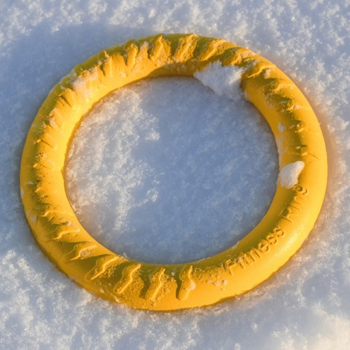 Игрушка для собак Тренировочное КОЛЬЦО Пуллер жетый 27см