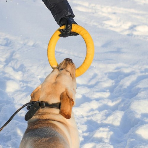 Игрушка для собак Тренировочное КОЛЬЦО Пуллер жетый 27см