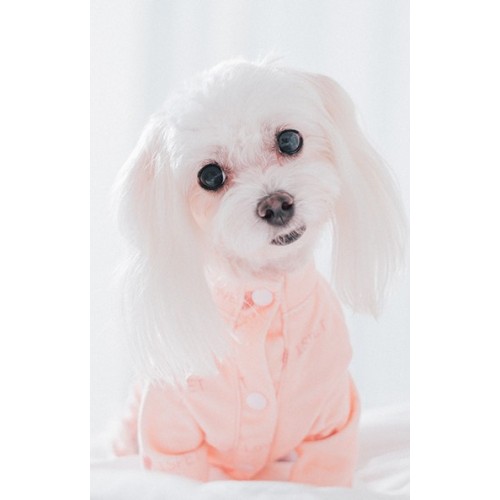 Пижамка велюровая для собак Is Pet "Сердечки" розовый