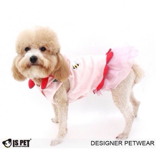Платье для собак Is Pet "Ромашка" розовый