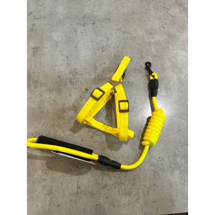 Шлея для собак нейлоновая с поводком, однотонная, желтая