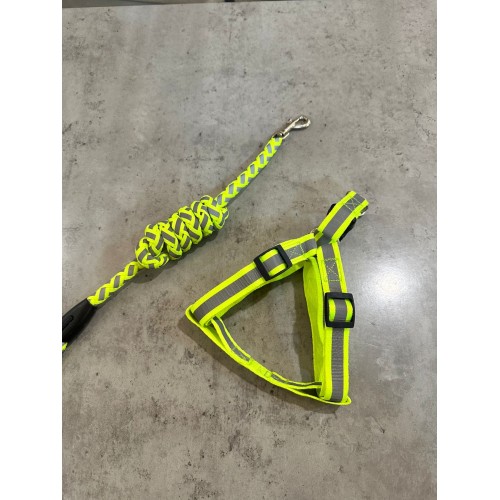 Шлея для собак нейлонова зі світловідбиваючими смугами, з повідцем круглим, салатова