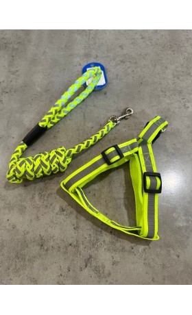 Metal Cut-Off Disc for X-Lock Tolls