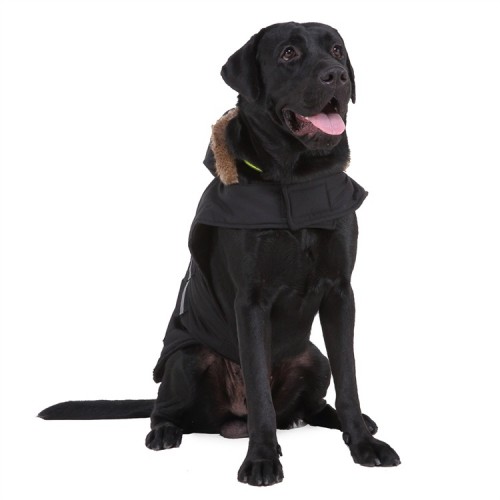 Жилетка-попона для собак, одежда для мелких и средних пород Multibrand с капюшоном "PAW" черная
