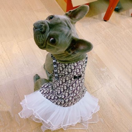 Брендовое платье для собак с джинсовым верхом на брительках и юбкой пачкой черно-белого цвета