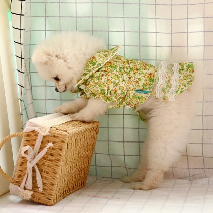 Платье для собак PetCircle "Цветочные мотивы" зеленый
