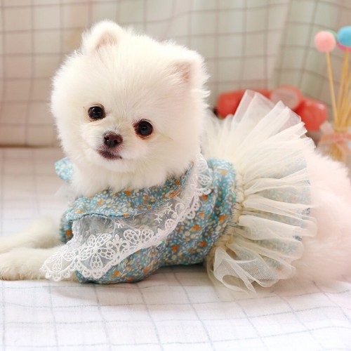 Платье для собак PetCircle "Прованс" голубой