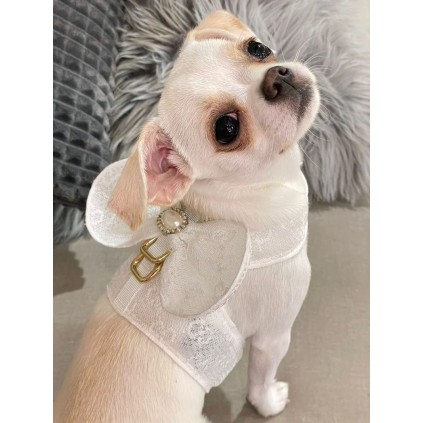 Брендова шлейка для собак Gucci Бант з перлами на спинці, на липучках, білий
