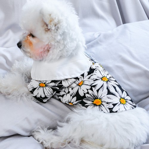 Рубашка для собак PetCircle "Ромашка" белый