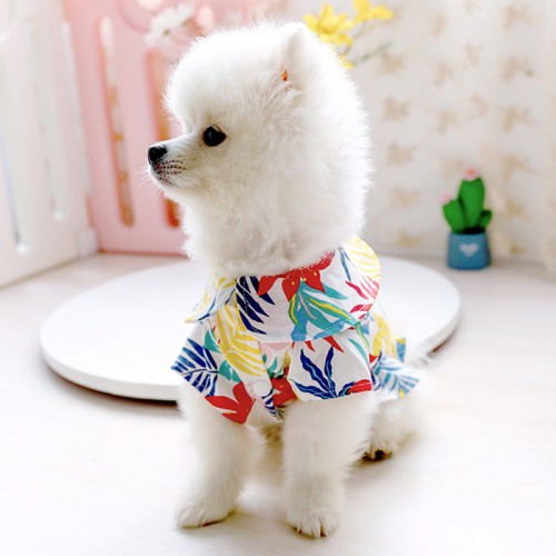Платье для собак PetCircle "Джунгли" белый